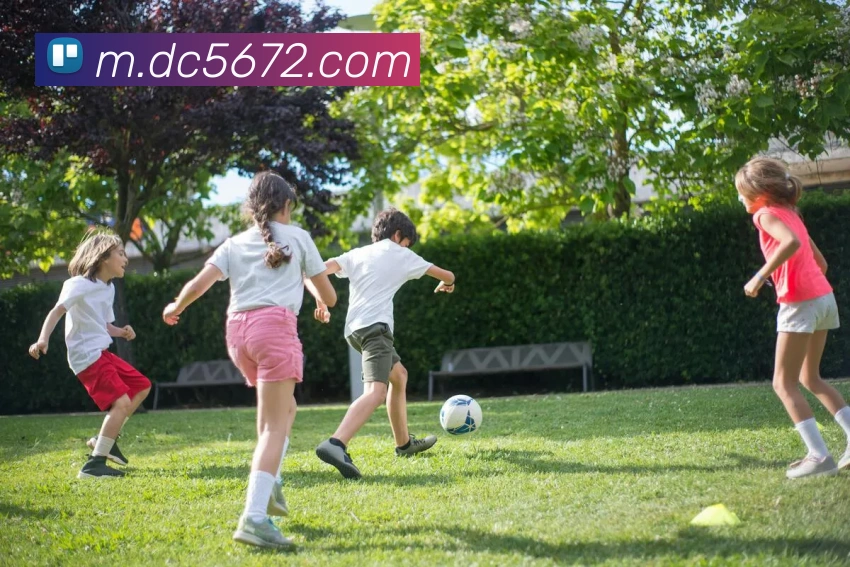 皇家赌场hjdc平台生态图